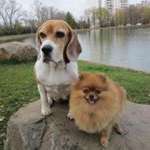 Ольга, фото