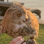 Михаил, фото