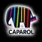 Краска Caparol, фото