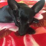 Валерий, фото