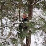 Елена, фото