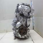 Андрей Березкин, фото