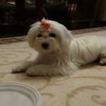 сергей, фото