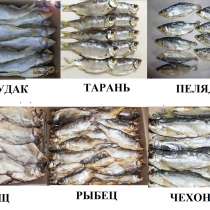 Рыба вяленая, рыба сушеная, сушёные морепродукты, снеки, в Москве