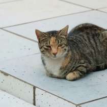 Бусинка, в Санкт-Петербурге