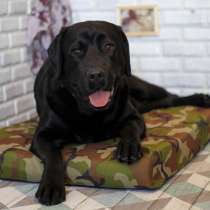 Лежак для собак крупных пород (Зелёный камуфляж), в Москве