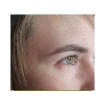 Бровист, в Москве