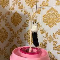 Игрушка для кота, в Новосибирске