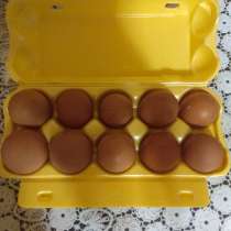 Яйцо домашние куриное, в Калуге