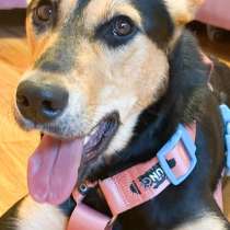 Молли ищет дом и человека, с которым будет делить каждое сч, в Москве