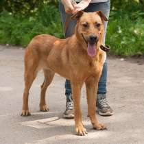 Ксюха хочет домой, в Санкт-Петербурге