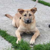 Умный, жизнерадостный, добрый подросток Рэм в поисках своей, в Москве