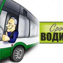 Водитель автобуса Ст. Майна-Ульяновск, в Ульяновске