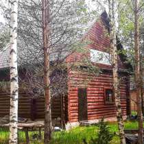 Бревенчатый дом в хвойном лесу у живописного озера, в Пскове