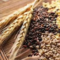 Декларация на зерно, в Сарове