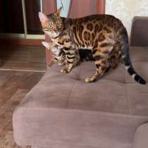 Вязка, в Орле