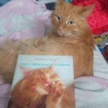 Уход, воспитание и здоровое питание, в Иркутске