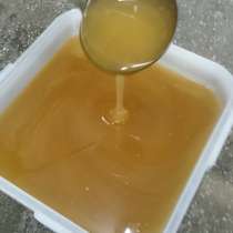 Мёд, из глубин Алтайского края!, в Санкт-Петербурге