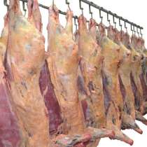 Мясо свинина, говядина, цыпленка бройлера, в Смоленске