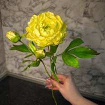 Пионы из холодного фарфора, в Нижнем Новгороде