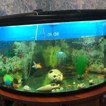 Угловой аквариум 360 литров, в Мурманске