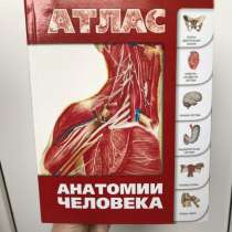 Анатомия человка, в Саратове