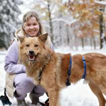 Лёвушка в поиске семьи, в Москве