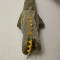 Одежда собачья, в Костроме