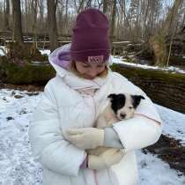Ответственность, в Москве