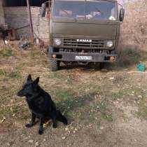 КАМАЗ бортовой 53212, в Чайковском