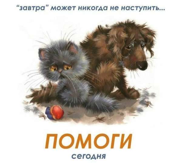 Спасите детей от холода и голода