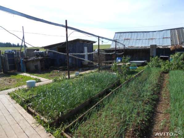 Продам дом в Мартыновцах в Перми фото 9