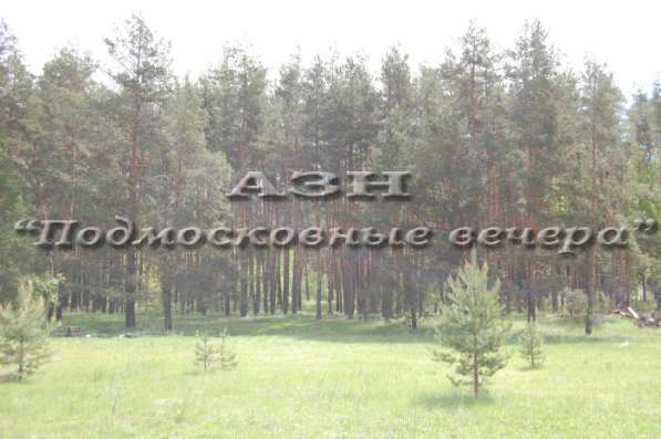 realty_mapper3.plot_in_locationСадовое некоммерческое тов-во. Площадь 15.00 сот.Есть Электричество. в Москве фото 25