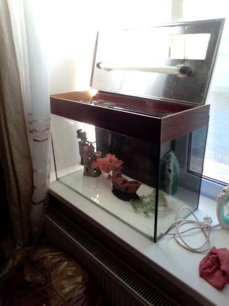 Продается аквариум в Санкт-Петербурге фото 3