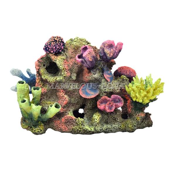 Аквариумные украшения, коралловые рифы в Челябинске фото 8