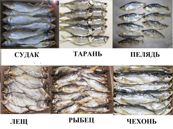 Рыба вяленая, рыба сушеная, сушёные морепродукты, снеки