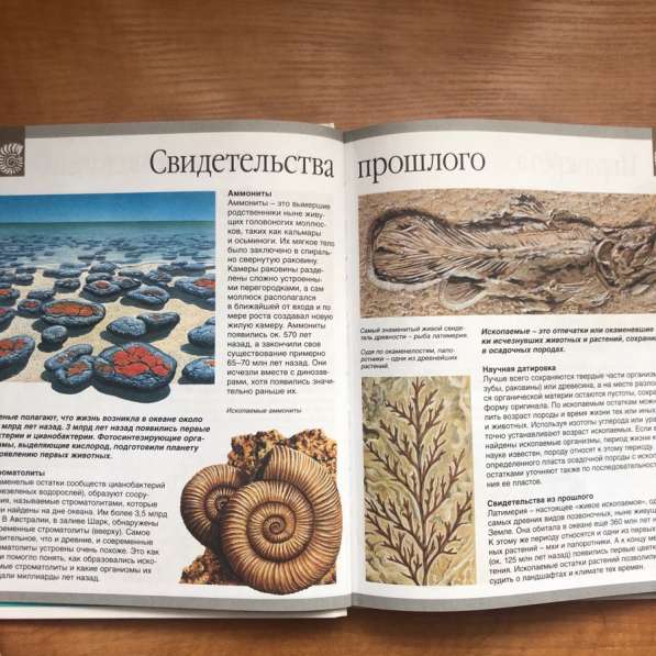 Детская энциклопедия Тайны природы в Москве фото 6