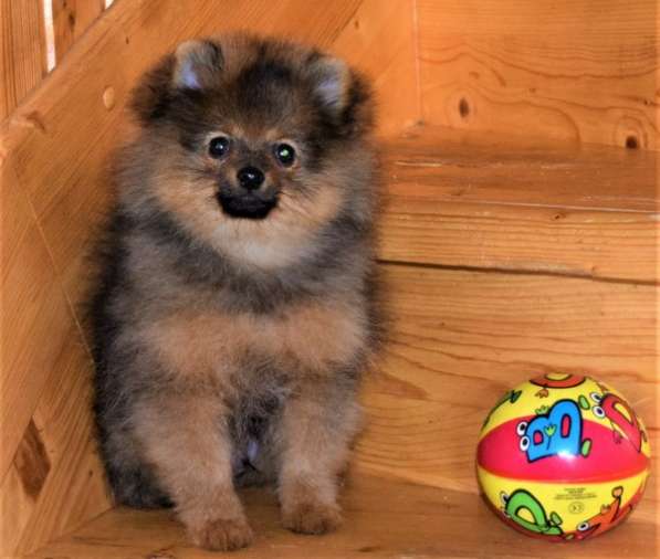 Очаровашка в Одинцово фото 16