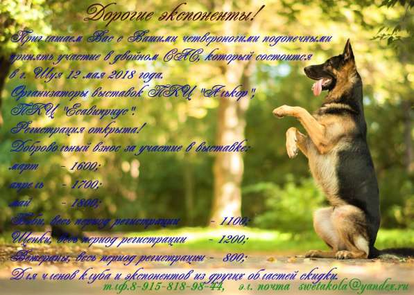 Кобель немецкой овчарки д/ш для вязки в Иванове