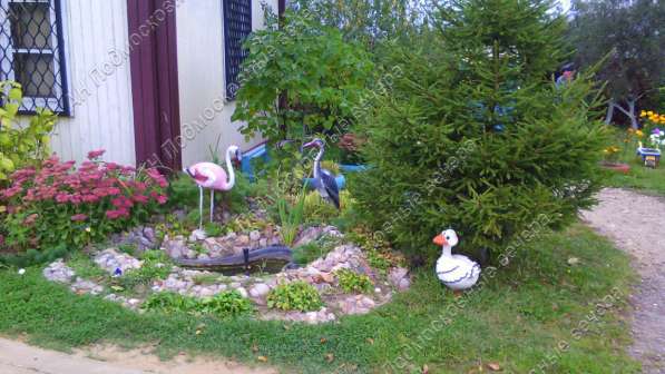 realty_mapper3.plot_in_locationСадовое некоммерческое тов-во. Площадь 7.70 сот.Есть Электричество. в Москве фото 16