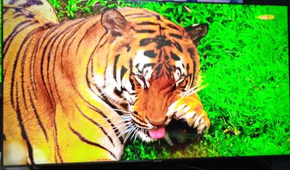 Телевизор Самсунг 70 дюймов в Санкт-Петербурге фото 4