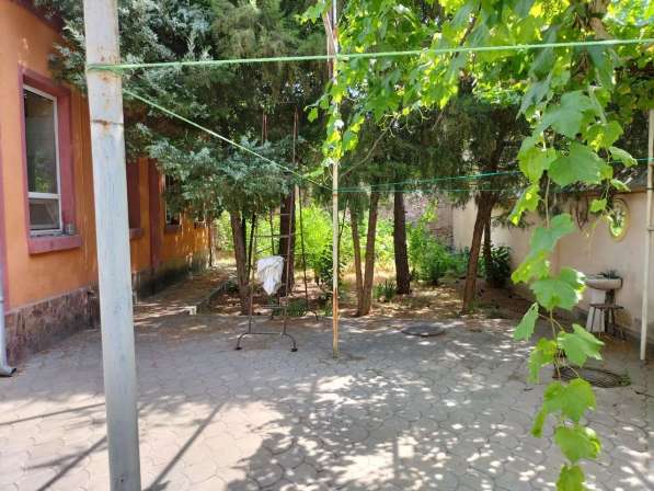 Гостиница Россия 5,5 сот в фото 12