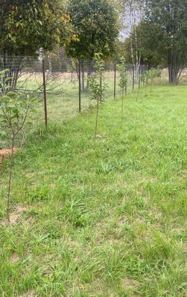 Участок 31 гектар в Гагарине фото 5