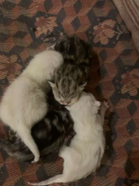 Прохорова,29