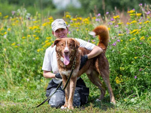 Молодой весёлый Барни в добрые руки! в Москве фото 7