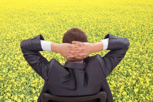 Смена адреса, директора, учредителей, оквэд в Новосибирске