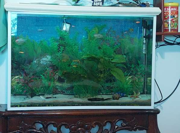 Продаются аквариумы 80 и 7 литров в 
