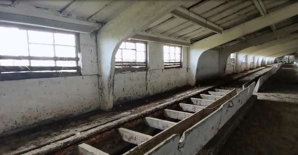 Ферма, теплицы, экотуризм &ndash; решать вам в Крымске фото 10