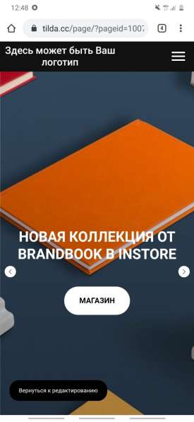 Делаю сайты в Казани