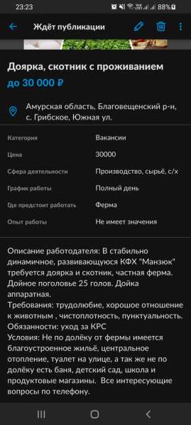 Требуеться доярка, скотник в Благовещенске